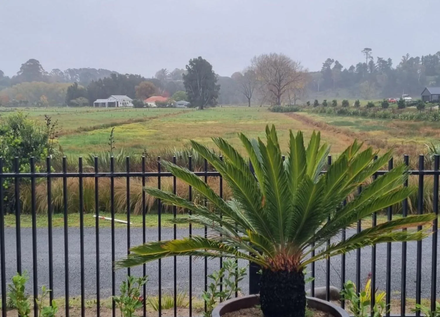 Bach22 Rustic Romantic Getaway Te Puna